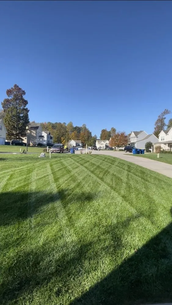 Local landscaping services in Hopewell, VA - Ant’s Lawn & Services