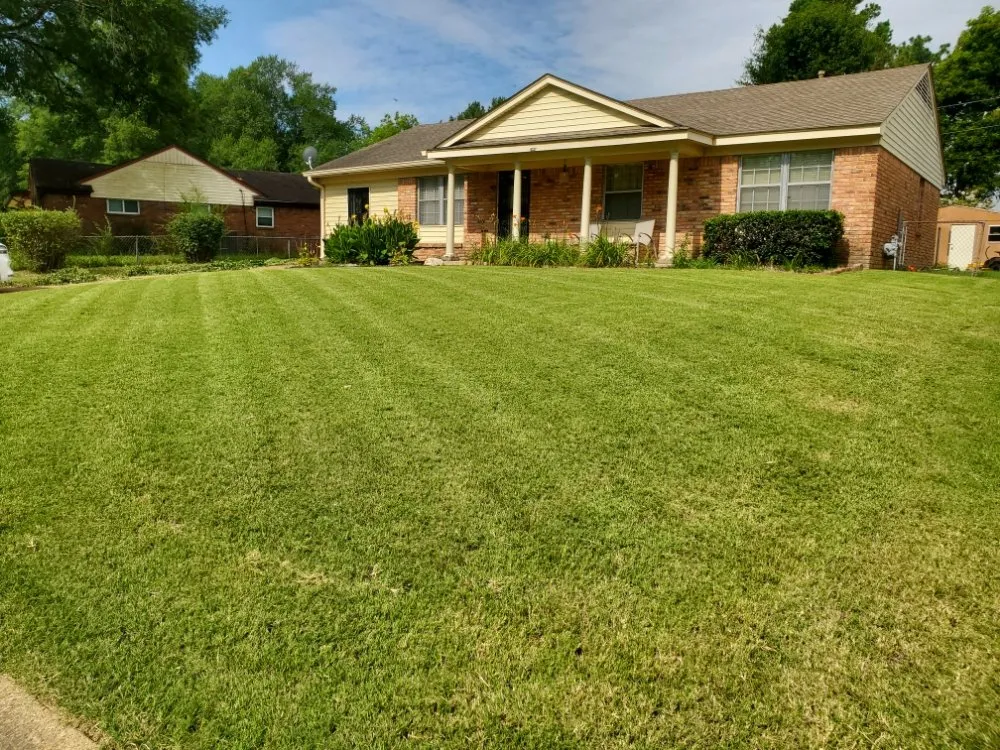 Affordable yard cleanup service in Southaven, MS - ANTS Lawn and Wash