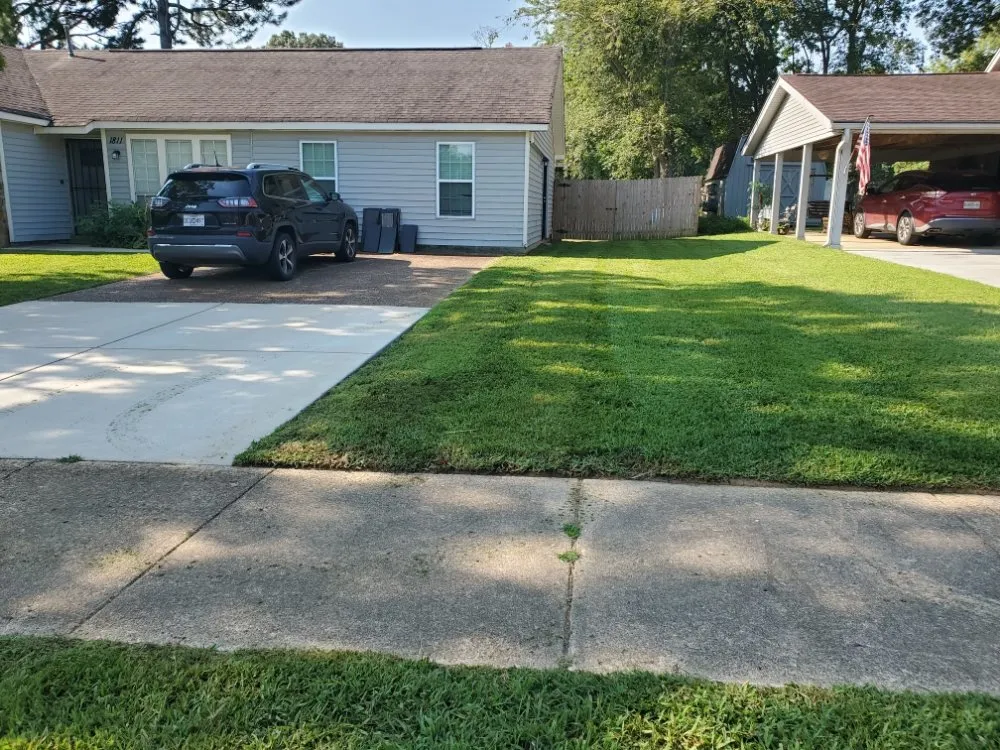 Local landscape installation for year-round maintenance in Southaven, MS by ANTS Lawn and Wash
