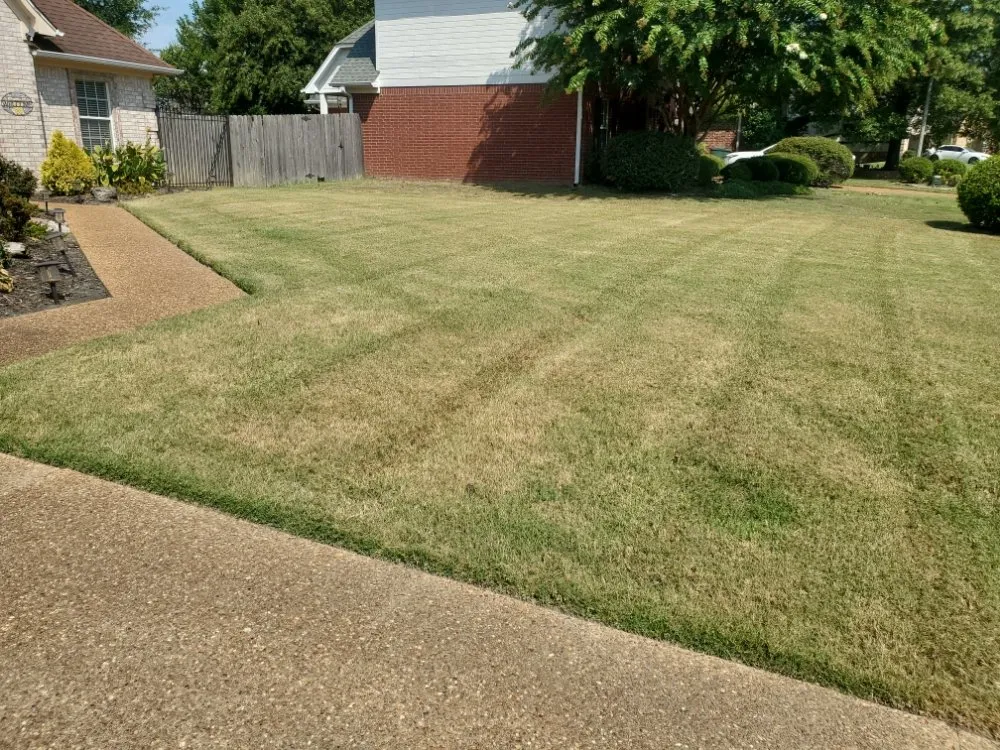 Local yard maintenance in Southaven, MS - ANTS Lawn and Wash