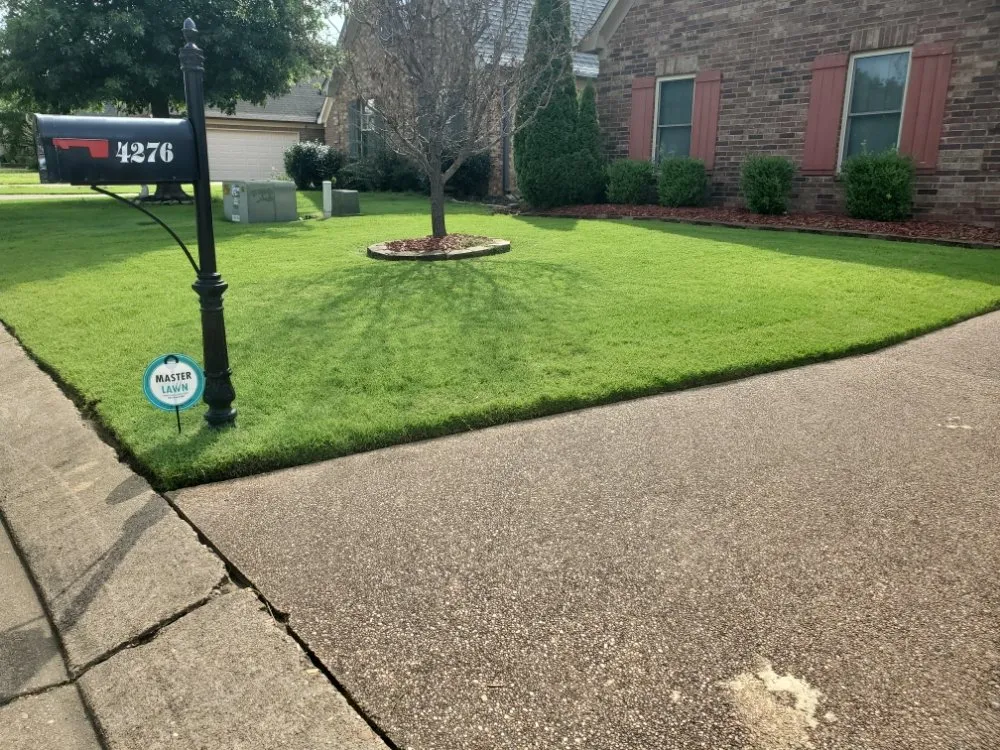 Reliable lawn care service experts serving Southaven, MS - ANTS Lawn and Wash