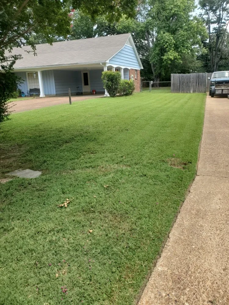 Expert landscape design with custom design in Southaven, MS by ANTS Lawn and Wash
