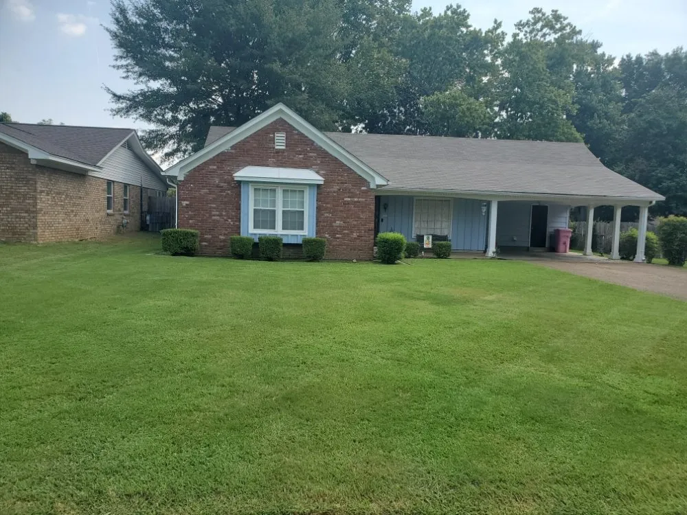 Top-rated yard cleanup service in Southaven, MS by ANTS Lawn and Wash