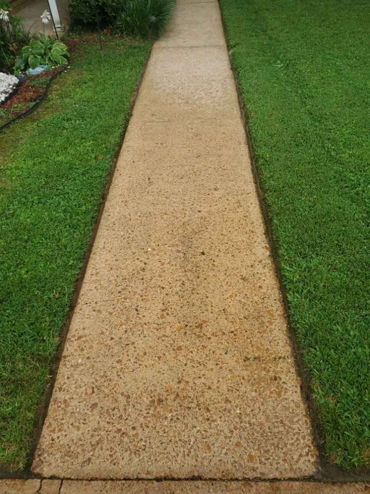 Reliable landscaping services in Southaven, MS - ANTS Lawn and Wash