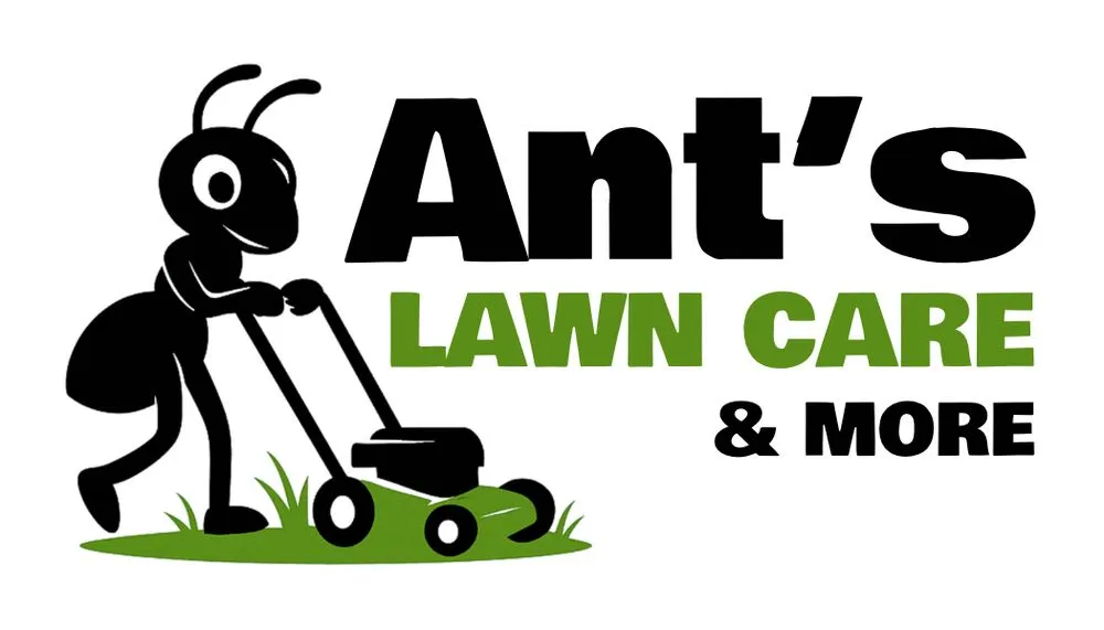 Top-rated yard cleanup service for beautiful yards across Pittsfield, MA - Ants Lawns Care & More