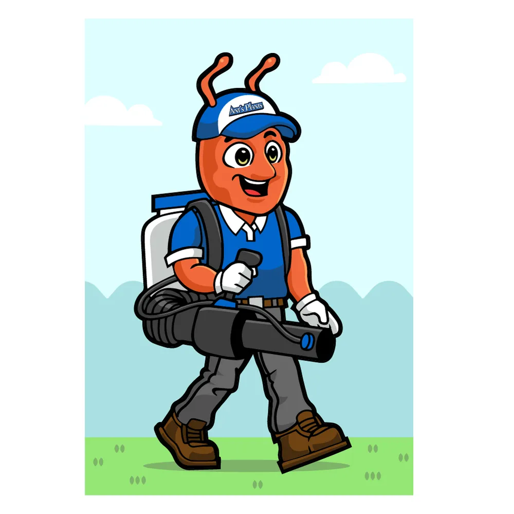 Custom lawn care service in Basking Ridge, NJ - Ants Plants