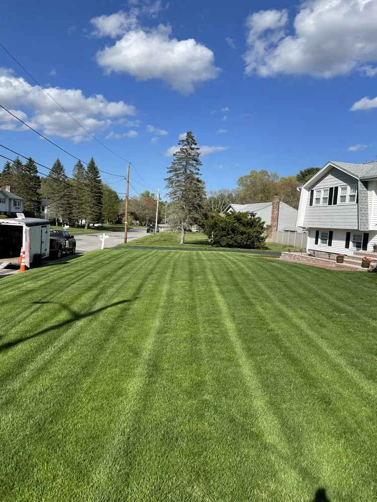 Professional yard maintenance experts serving Lowell, MA - Ants Property Maintenance