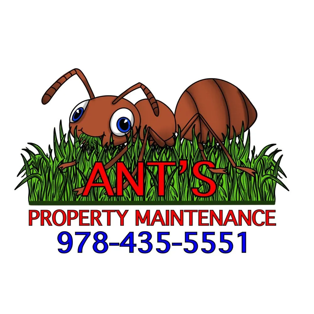 Expert outdoor landscaping in Lowell, MA - Ants Property Maintenance