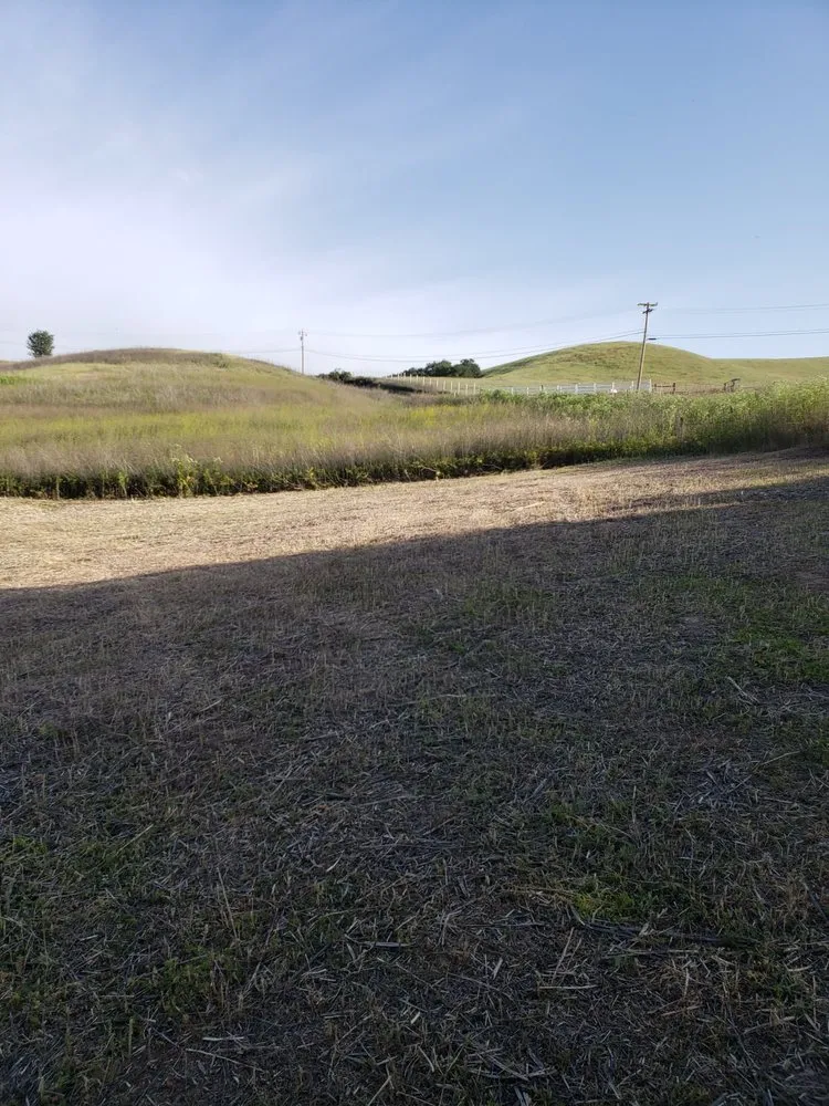 Local landscape design with custom design in Paso Robles, CA by Ants Tractor Mowing