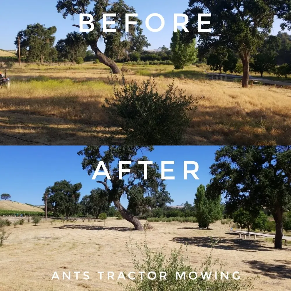 Affordable lawn care service experts serving Paso Robles, CA - Ants Tractor Mowing