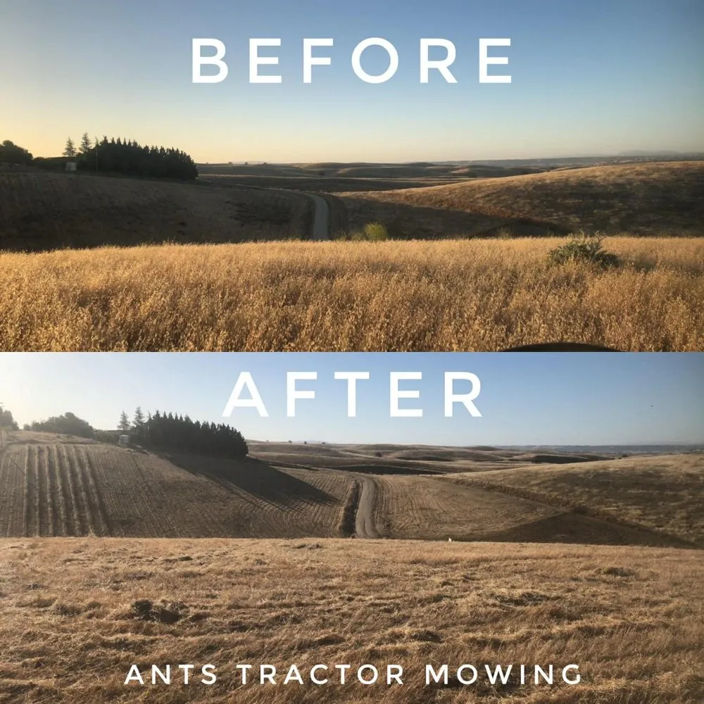 Expert garden landscaping for beautiful yards across Paso Robles, CA - Ants Tractor Mowing