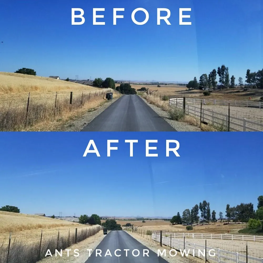 Professional lawn care service in Paso Robles, CA - Ants Tractor Mowing