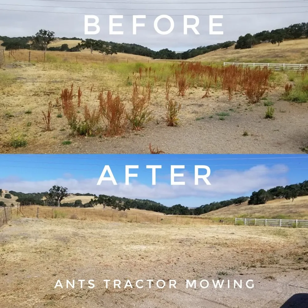 Professional lawn care service in Paso Robles, CA by Ants Tractor Mowing
