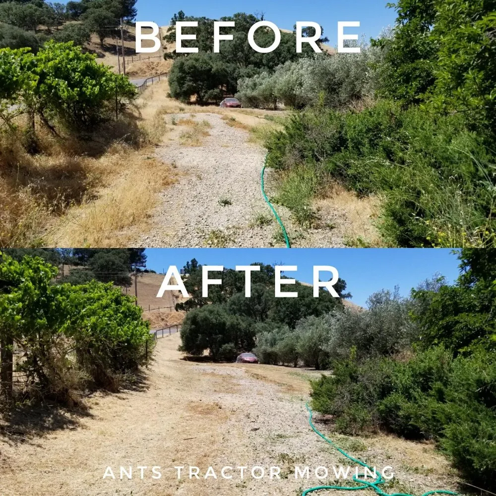 Trusted lawn care service in Paso Robles, CA by Ants Tractor Mowing
