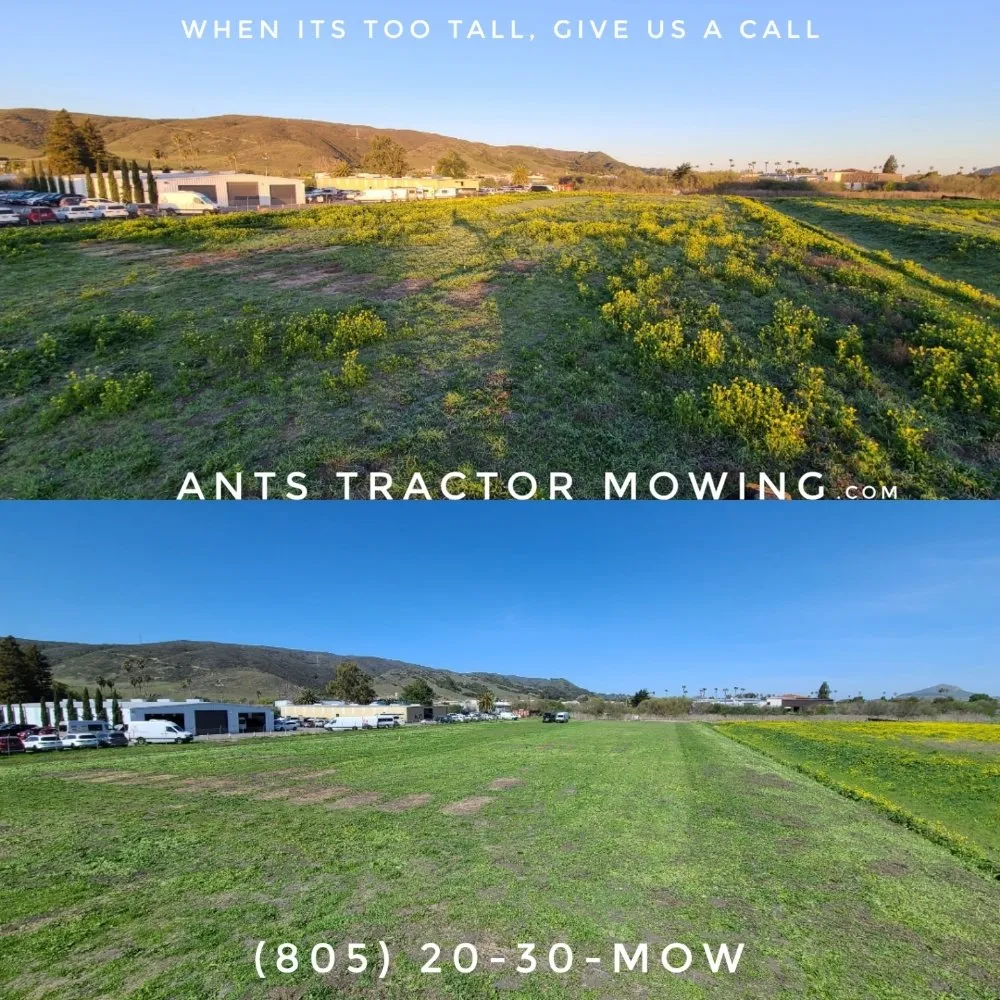 Affordable landscape design in Paso Robles, CA - Ants Tractor Mowing