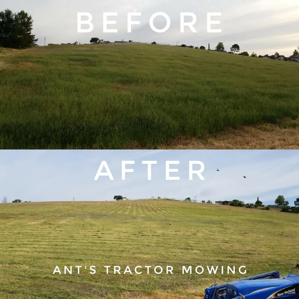 Local landscape installation in Paso Robles, CA by Ants Tractor Mowing