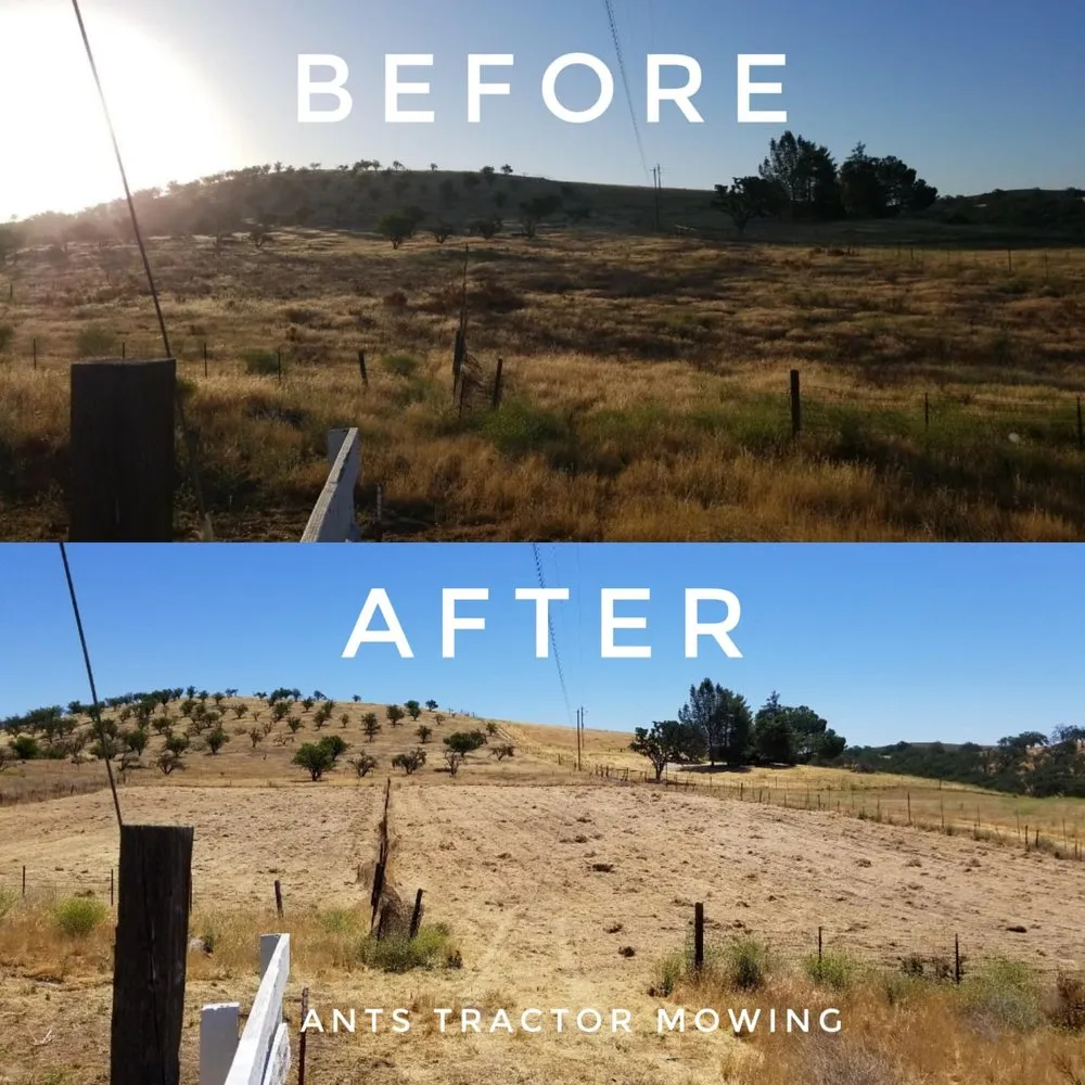 Expert residential landscaping experts serving Paso Robles, CA - Ants Tractor Mowing