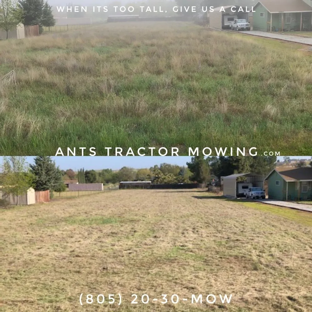 Trusted yard cleanup service in Paso Robles, CA - Ants Tractor Mowing