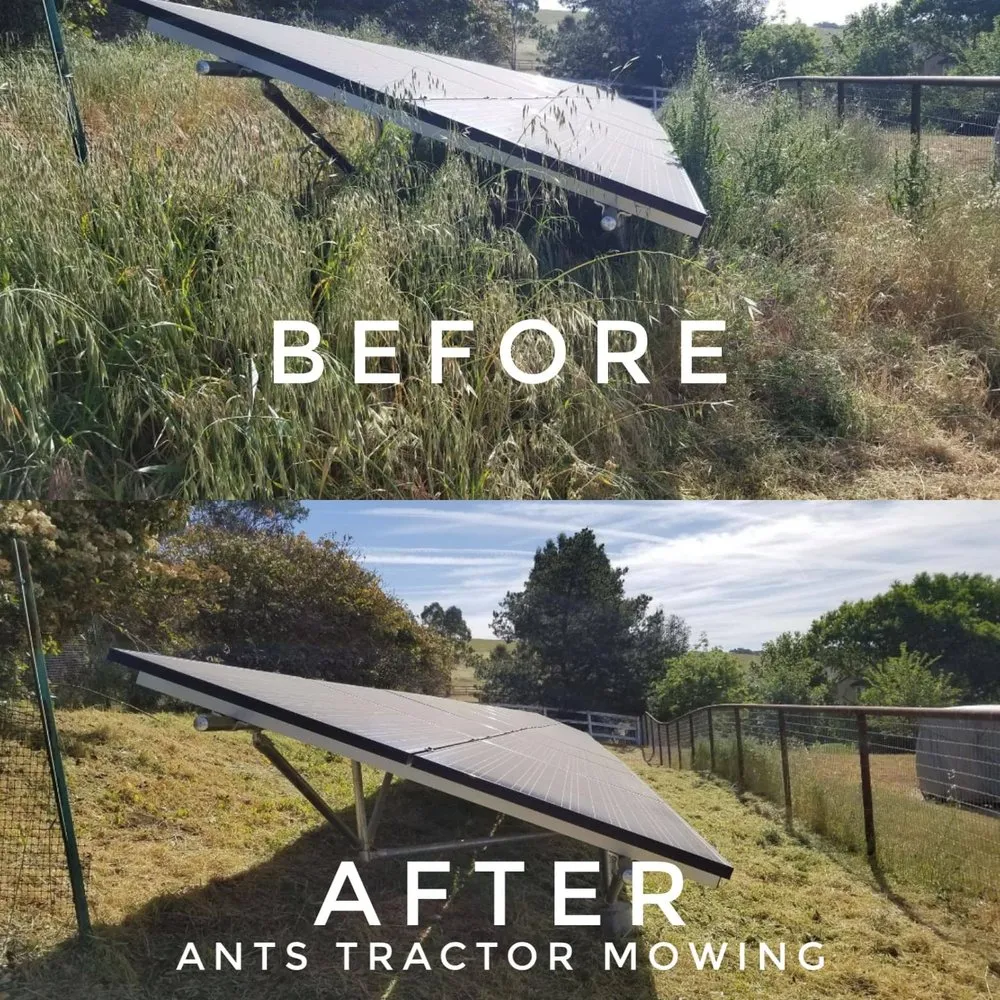 Trusted outdoor landscaping for beautiful yards across Paso Robles, CA - Ants Tractor Mowing