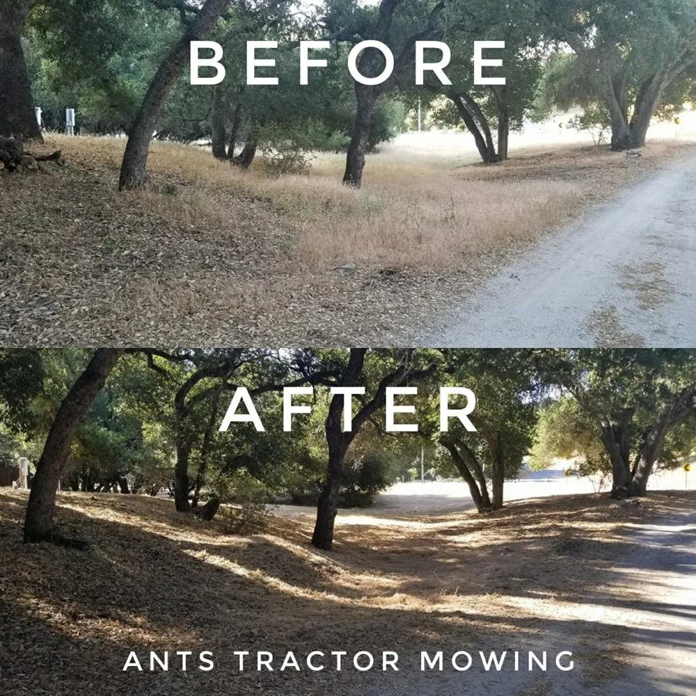 Trusted outdoor landscaping in Paso Robles, CA by Ants Tractor Mowing