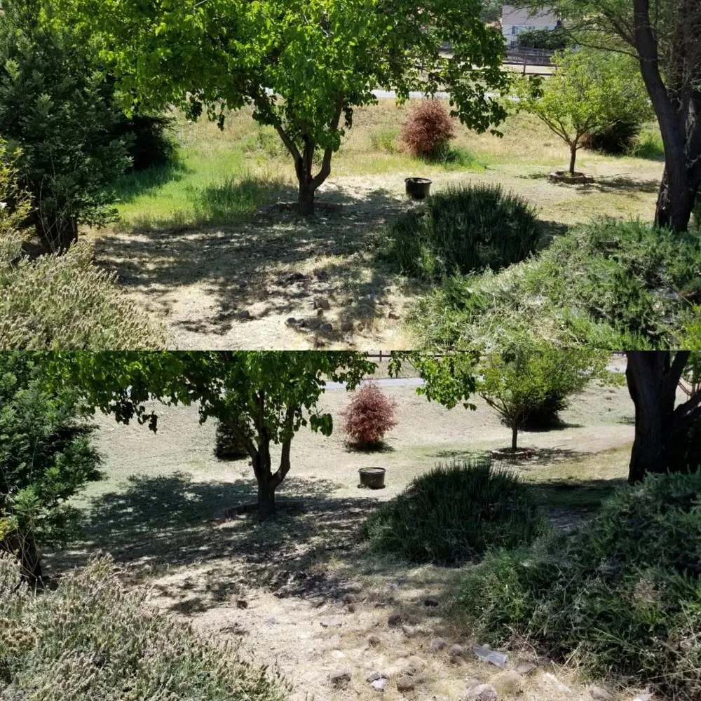 Local garden landscaping in Paso Robles, CA - Ants Tractor Mowing