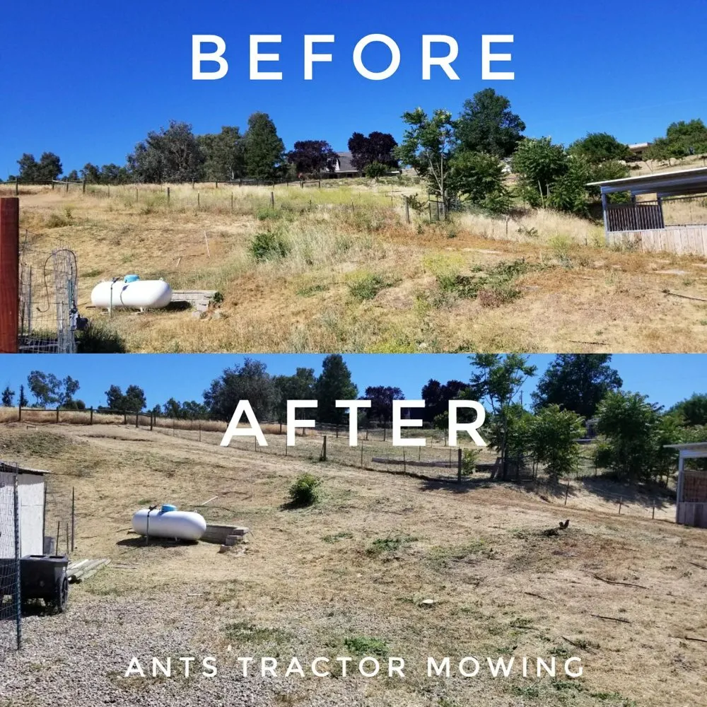Affordable yard maintenance in Paso Robles, CA by Ants Tractor Mowing
