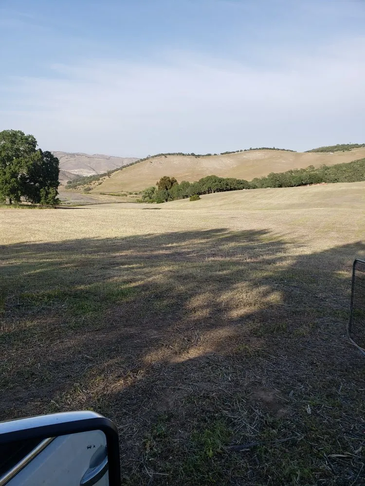 Affordable residential landscaping in Paso Robles, CA - Ants Tractor Mowing