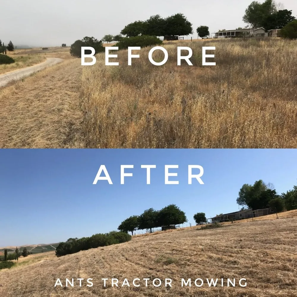 Expert yard maintenance experts serving Paso Robles, CA - Ants Tractor Mowing