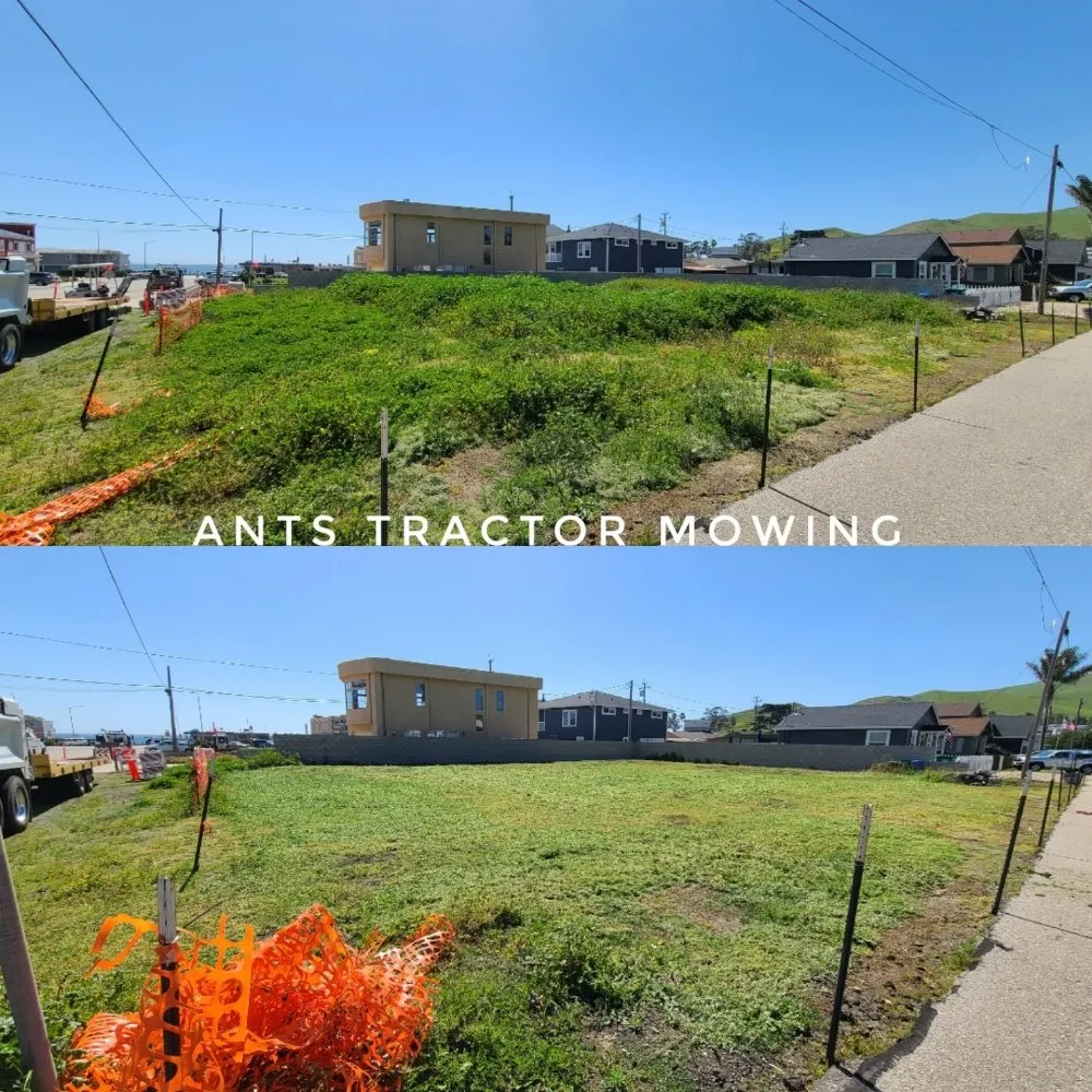 Custom yard maintenance in Paso Robles, CA by Ants Tractor Mowing