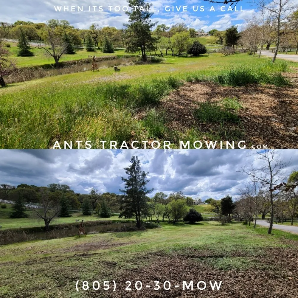 Professional landscape design for outdoor upgrades across Paso Robles, CA - Ants Tractor Mowing