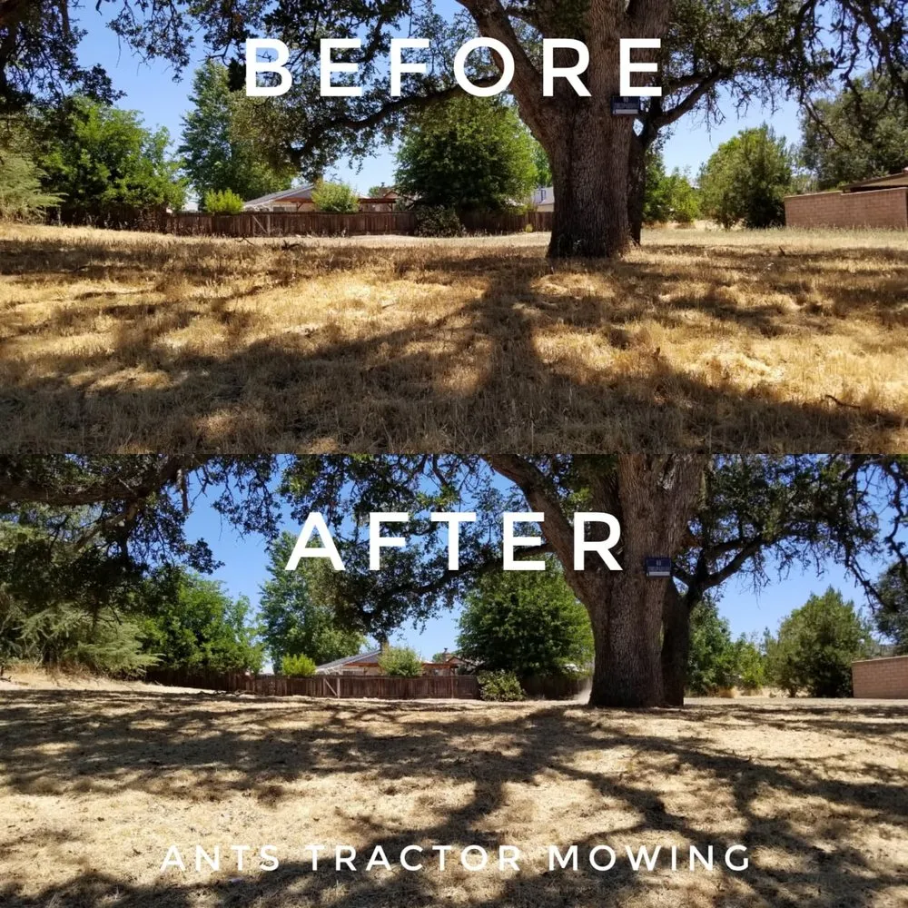 Affordable lawn mowing service in Paso Robles, CA by Ants Tractor Mowing
