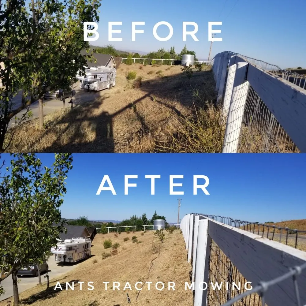 Affordable yard cleanup service in Paso Robles, CA - Ants Tractor Mowing