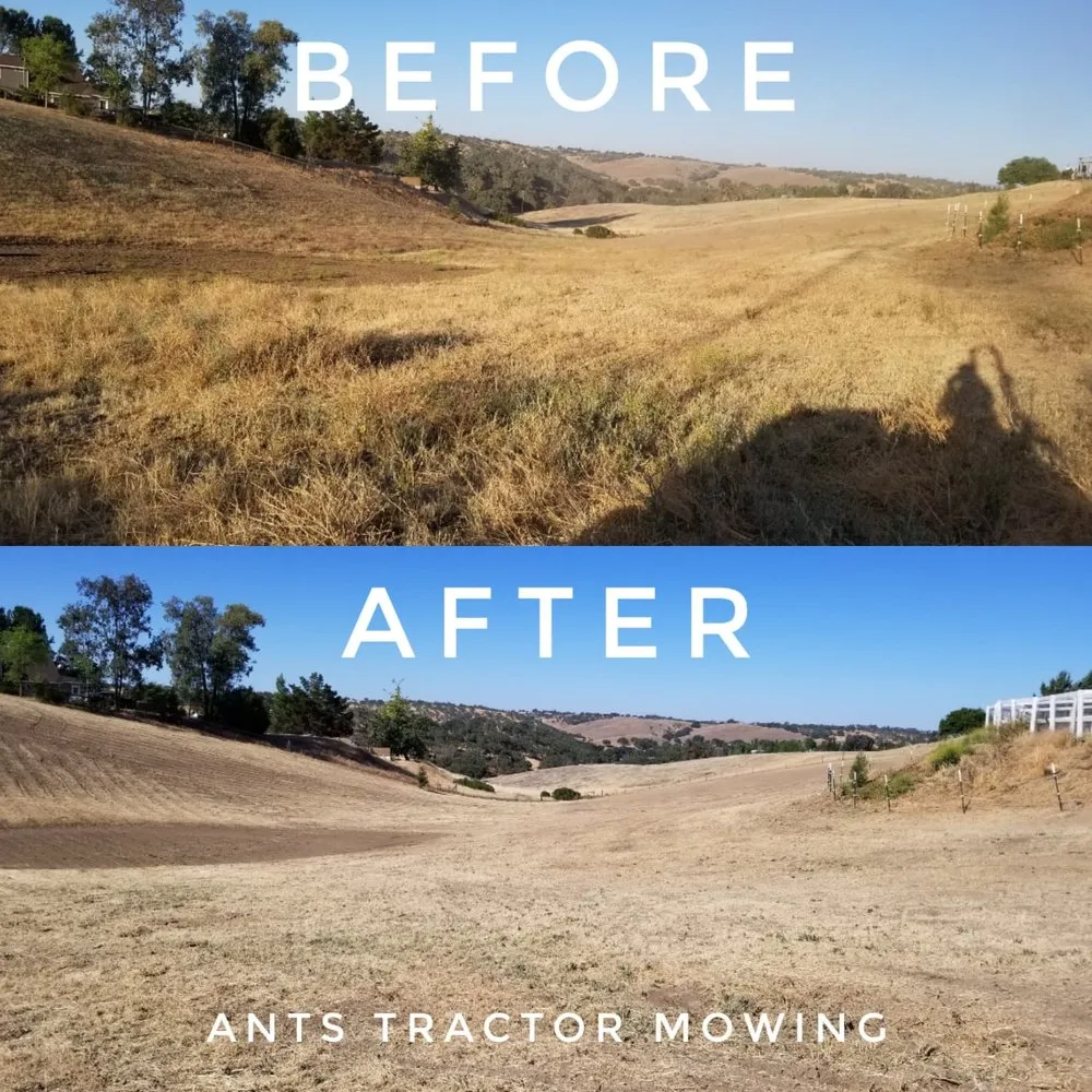 Local lawn care service experts serving Paso Robles, CA - Ants Tractor Mowing