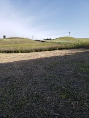 Ants Tractor Mowing Logo