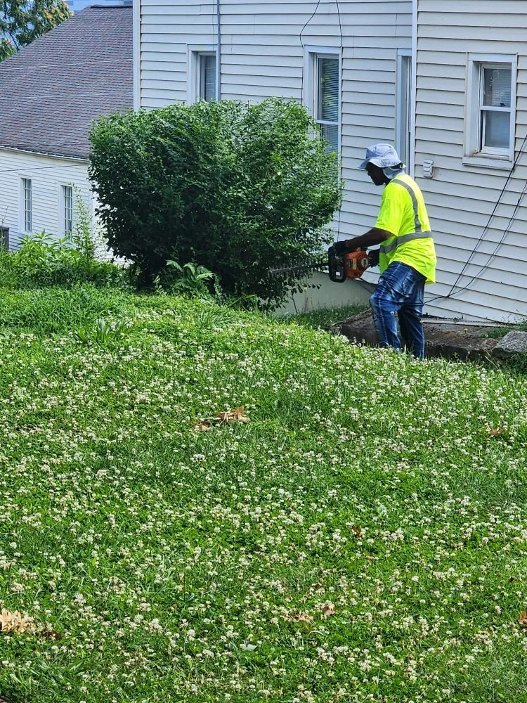 Expert outdoor landscaping in Roanoke, VA - Antwans Handyman Service