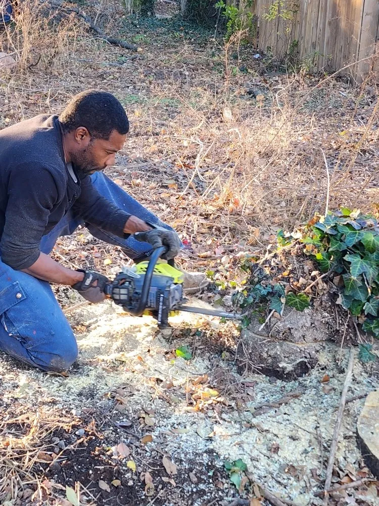 Trusted lawn care service for beautiful yards across Roanoke, VA - Antwans Handyman Service