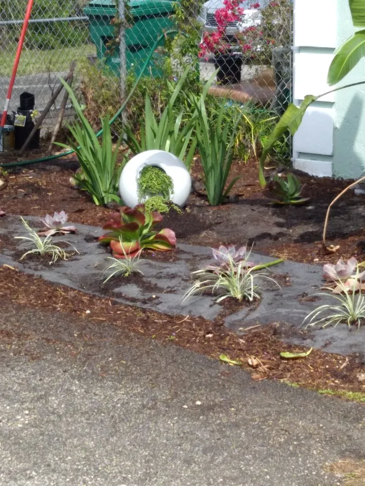 Expert outdoor landscaping with custom design in Miami Lakes, FL by Antway Multi Services