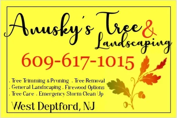 Expert lawn mowing service near you across West Deptford, NJ - Anusky's Tree & Landscaping