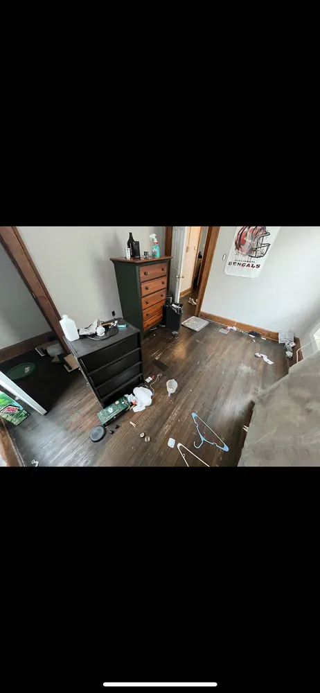 Professional yard cleanup service in Ross, OH - AnW Cleaning Services