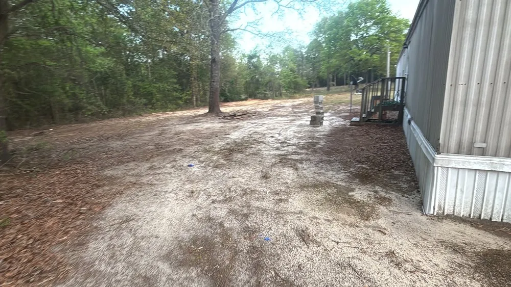 Local yard cleanup service experts serving Gaston, SC - Any & All Odd Jobs