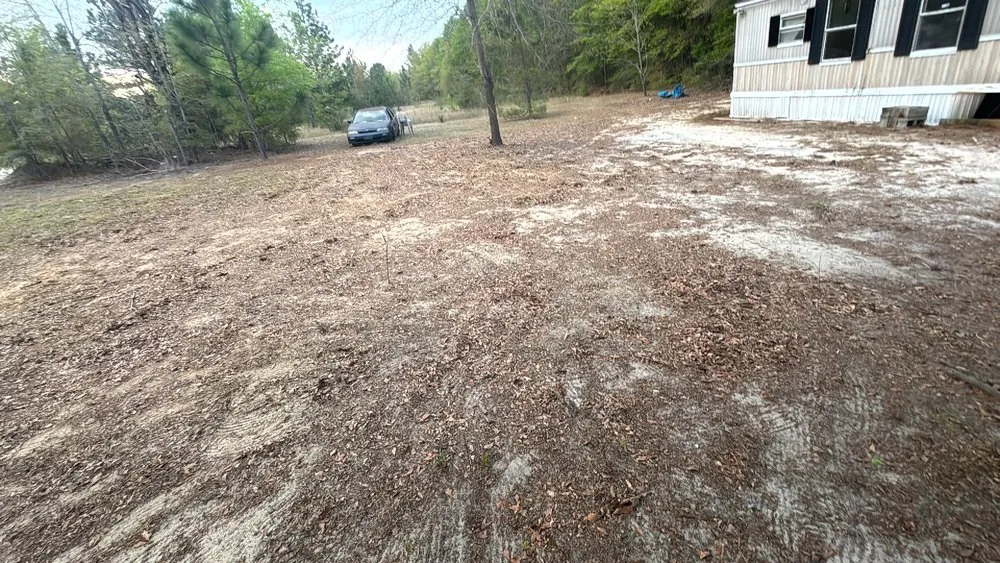 Trusted lawn care service with custom design across Gaston, SC - Any & All Odd Jobs