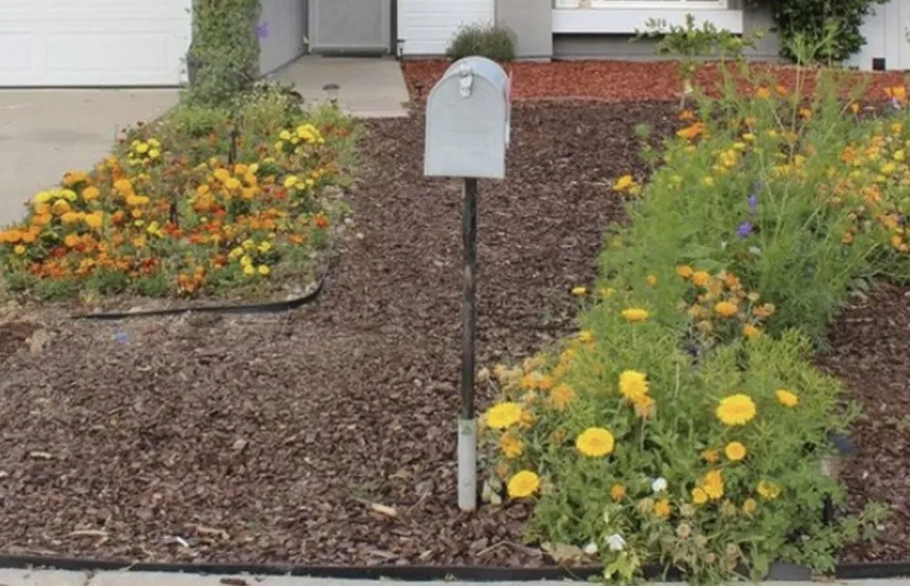 Expert outdoor landscaping in Santee, CA - Any Area Landscaping