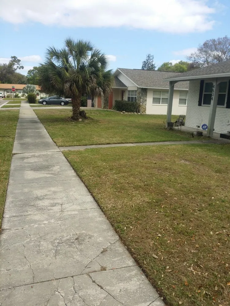 Professional landscape design with custom design across St. Petersburg, FL - Any Cut Lawn Maintenance
