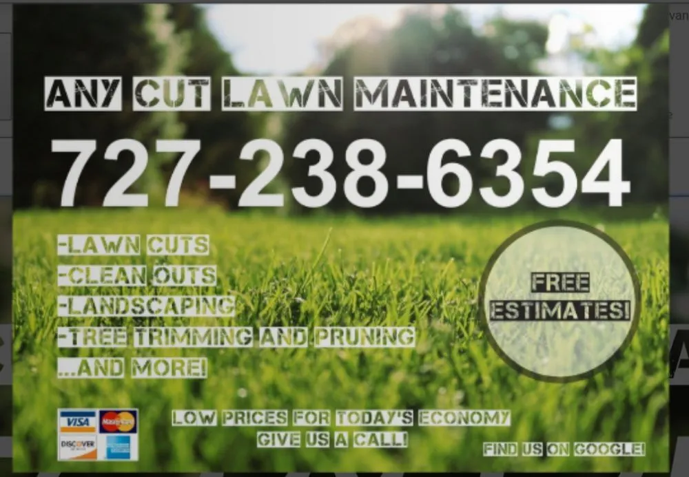 Professional landscape design in St. Petersburg, FL - Any Cut Lawn Maintenance