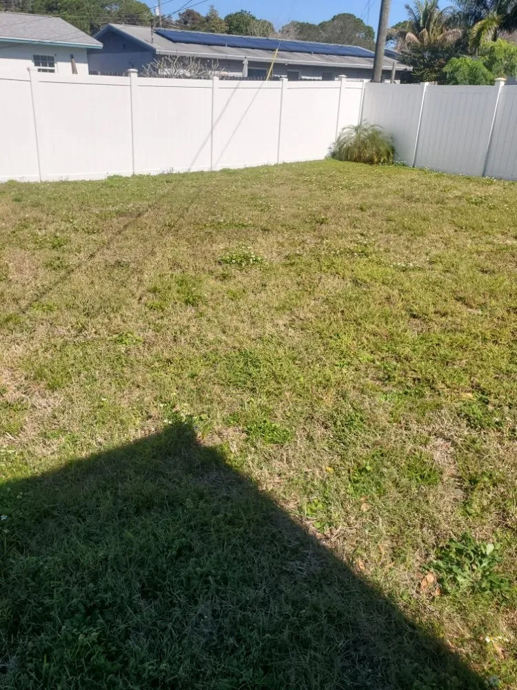 Custom landscape installation experts serving St. Petersburg, FL - Any Cut Lawn Maintenance