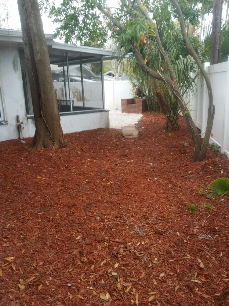 Local landscape installation near you in St. Petersburg, FL by Any Cut Lawn Maintenance