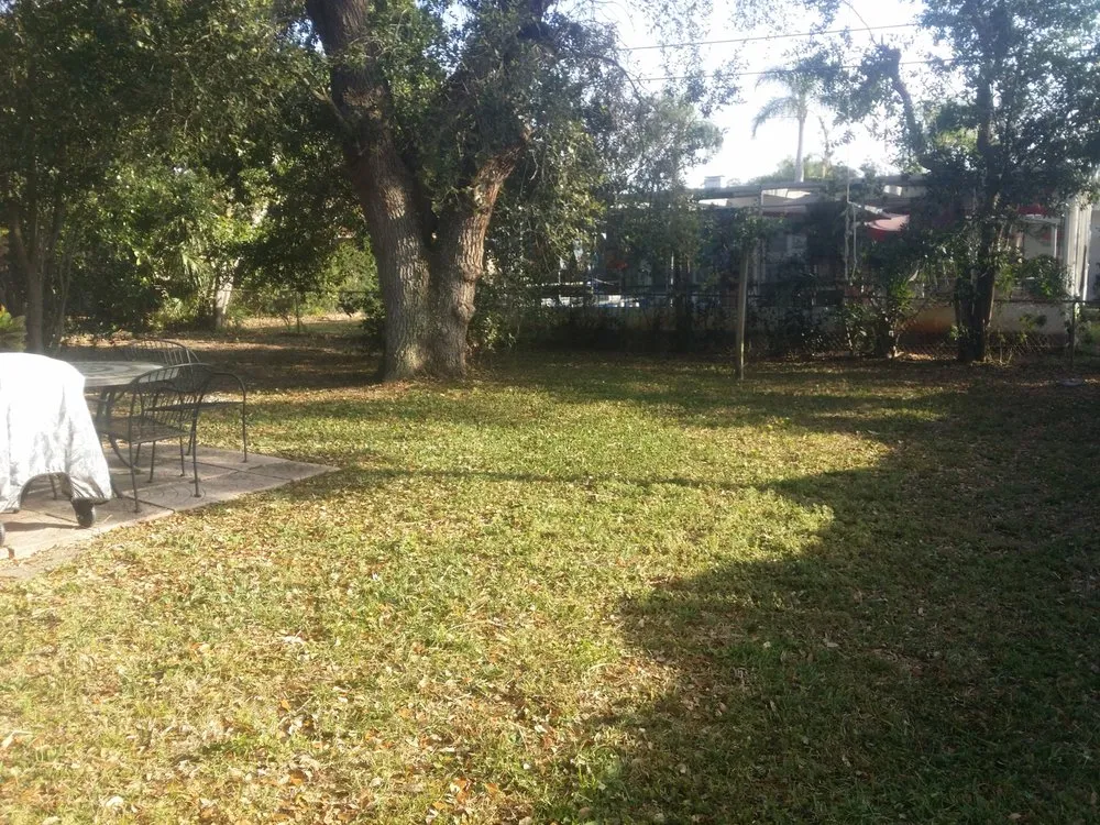 Local residential landscaping for outdoor upgrades across St. Petersburg, FL - Any Cut Lawn Maintenance