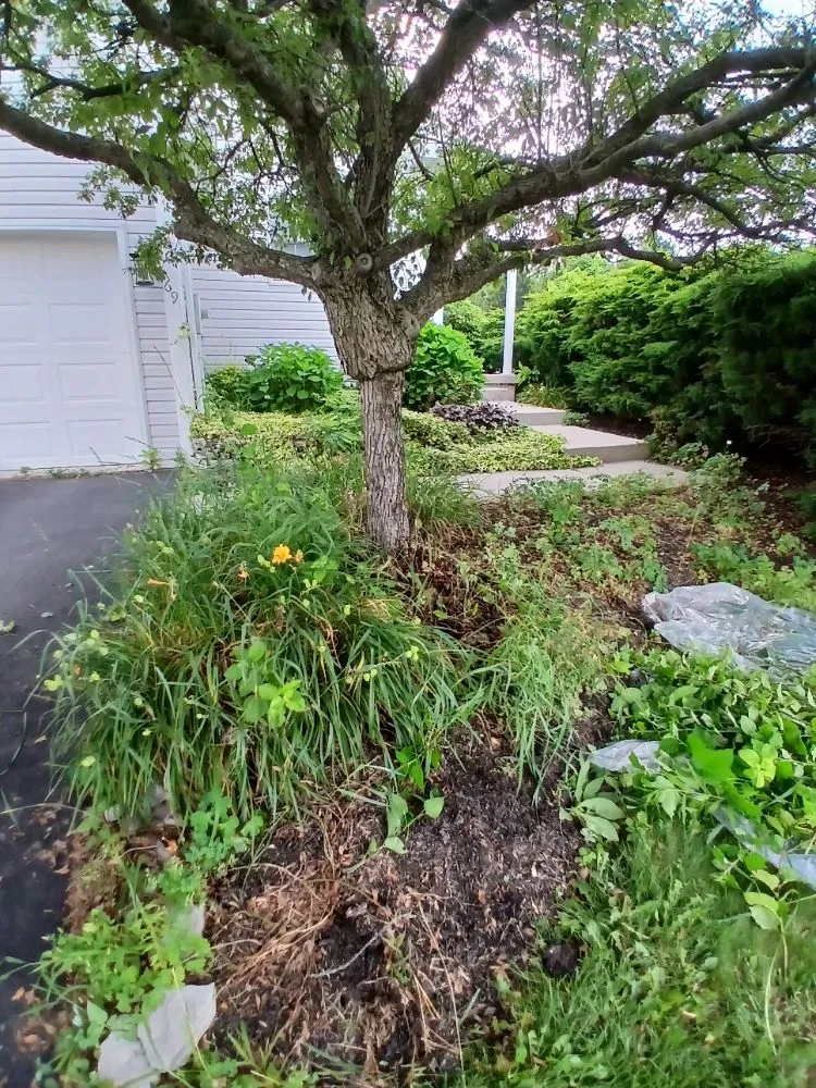 Custom lawn mowing service for homes in Gettysburg, PA by Any Help Property Services and Solutions