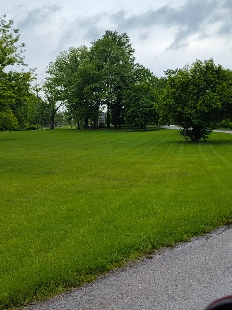 Professional lawn care service in Gettysburg, PA - Any Help Property Services and Solutions