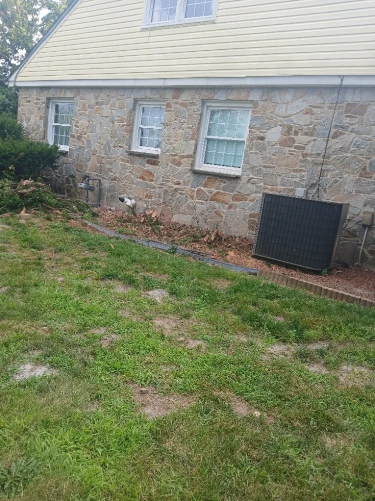 Expert lawn mowing service in Gettysburg, PA - Any Help Property Services and Solutions